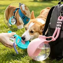 Plastic Dogs Cat Drinking Bottle